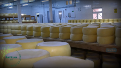 Trakya Eski Kaşar Peyniri (Koyun) 350 Gr