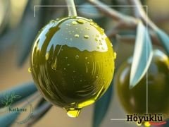 Gemlik Yeşil Zeytin (500 Gr)